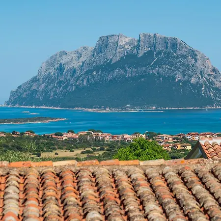 Kiki - Klodge * Costa Corallina