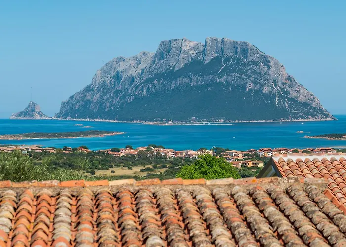 Kiki - Klodge * 科斯塔克拉里那