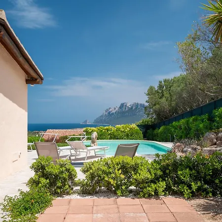 Kiki - Klodge * Costa Corallina