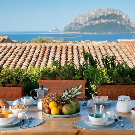 Kiki - Klodge Villa Costa Corallina